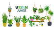 Urban Jungle hand lettering inscription and set of trendy home decor with exotic tropical houseplants in stylish planters, hangers and pots isolated on white background. Vector clipart bundle