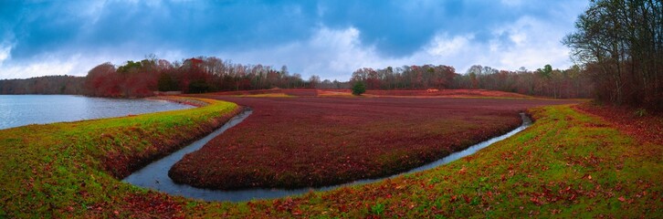 Wall Mural - Curving cranberry bog and dramatic cloudscape on Cape Cod in the winter rain. Vibrant green riverbank, red cranberry plants, and autumn forest, blue lake and brooks in Mashpee, Massachusetts, USA.