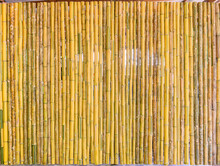 Background And Texture Of Decorative Yellow Bamboo