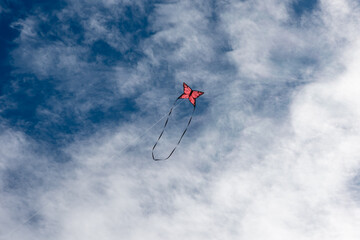 Wall Mural - colorful kites flying over the sky