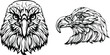 Hand drawn eagle head emblem. Mascot bird vector. Logo illustration.

