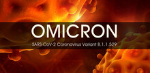 SARS-CoV-2 Coronavirus Variant Omicron B.1.1.529.
Microscopic View Of Infectious Virus Cells. 3D Rendering