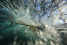 Surfboard With A Fin Going Through The Water. Photographed From Underwater
