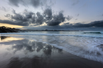 Wall Mural - The magnificent beaches of the north in autumn, leave magnificent compositional prints!