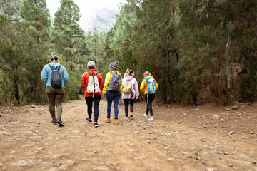 Wall Mural - Group of women having fun walking in the woods - Adventure and travel people concept