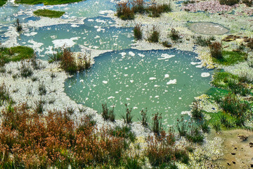 Mud Volcano in Yellowstone National Park