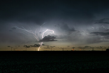 Wall Mural - branched upward lightning bolt, also called a gc (ground to cloud) discharge
