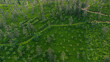 Piękny zielony krajobraz pól herbaty, widok z góry.