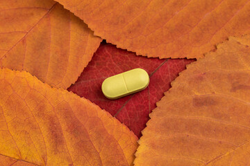 Green Oval On Autumn Leaves. Autumn Leaves and Medical Pill.