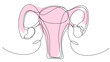 Woman's uterus in one line with a pink spot on a white background. A simple illustration of a woman's reproductive organs. The concept of health, childbirth, menstruation, sex life, treatment.