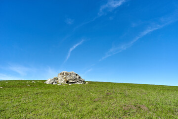 Wall Mural - blue, green and a rock in between