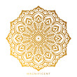 abstract magnificent mandala art wealth, abundance, prosperity circular vector design