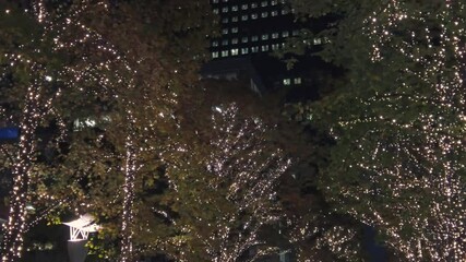 Poster - 東京都千代田区丸の内のビジネス街のクリスマスイルミネーションの景色