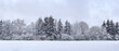 forest after a heavy snowfall. winter panoramic landscape.