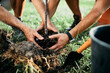 © Drazen - Close-up of father and son planting tree in nature.