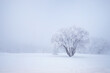 Krajobraz zimowy z drzewem