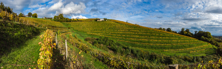 Canvas Print - Allassac (Corrèze, France) - La Chartroulle - Vue panoramique automnale des vignobles des coteaux de la Vzère