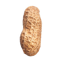  Single Peanut With Shell Isolated On A White Background
