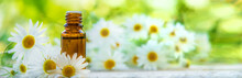 Chamomile Essential Oil In A Small Bottle. Selective Focus.