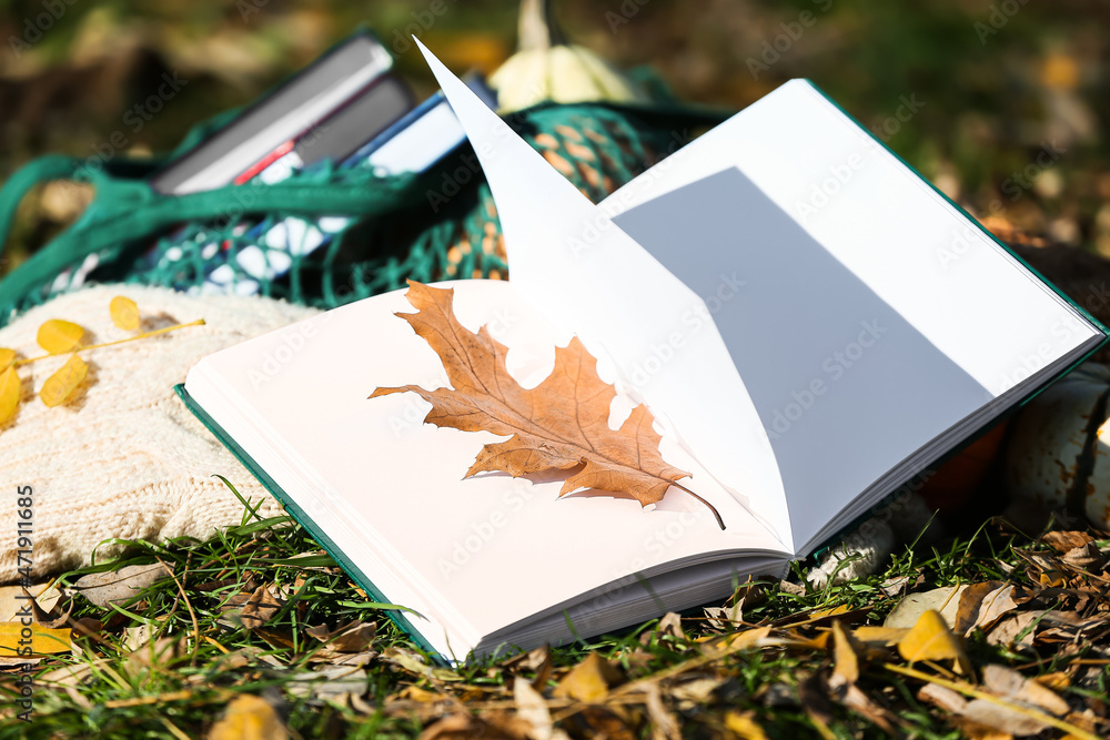 Opened book with blank pages and autumn leaf on green grass