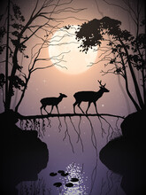 Deer Family In Misty Forest. Animals Walk On Fallen Tree. Full Moon