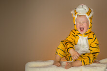 Little Boy In Tiger Costume. New Year 2022. Year Of The Tiger. Space For Text