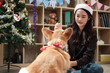 © tigercat_lpg - One young Asian beautiful young female worker in a red hat is teasing a dog with love at a business office party, Decorative for celebrating the Christmas festival and New Year's holidays.