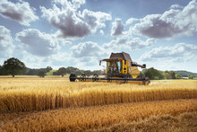 Combine Harvester In Oat Field
