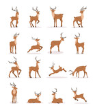 Fototapeta Pokój dzieciecy - Cute noble sika deer. Set of reindeers with antlers in different poses isolated on white background. Ruminant mammal animal. Vector illustration in flat cartoon style.