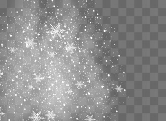 Wall Mural - Snowfall, snowflakes in different shapes and forms. Snowflakes, snow background. Christmas snow for the new year.
