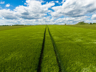 Green field and blue cloudy sky with a view on the horizon. Regional farming in Hannover Kronsberg, Germany.