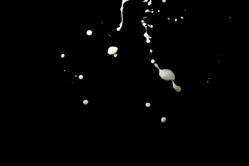 Canvas Print - milk is a nutrient rich liquid food produced by the mammary glands of mammals.