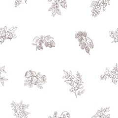Sticker - Outlined berry branches pattern. Seamless botanical background with vintage drawings of fruit plants. Endless design with repeating print. Hand-drawn vector illustration for wrapping and decoration