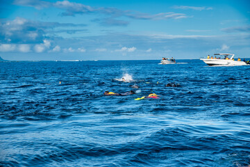 mauritius - may 2, 2021: tourists during a snorkeling tour along