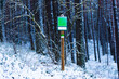Winter landscape, green sign in pine forest