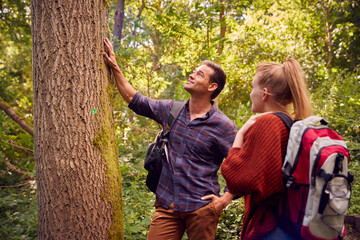 Couple In Countryside Hiking Along Path Through Forest Together