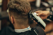 © Zamrznuti tonovi - Young bearded man getting haircut by hairdresser