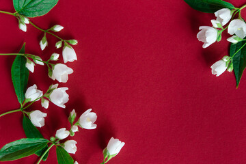 Wall Mural - 	
Beautiful white jasmine flowers on a red background. Flat lay with copy space for the wedding, birthday, party or other celebration.	
