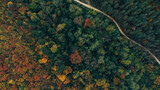 Fototapeta Pomosty - Autumn from above