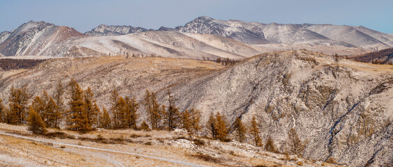 Wall Mural - landscape in winter