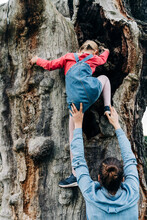 Mother Helping Daughter To Climb Tree At Park