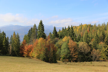 Wall Mural - Autumn landscape in Carpathians