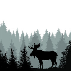 Wall Mural - moose in forest vector. moose illustration sign. moose scene symbol or logo.