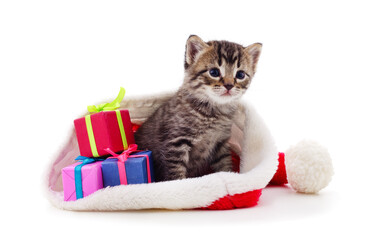 Wall Mural - Kitten with a gifts in a Christmas hat.