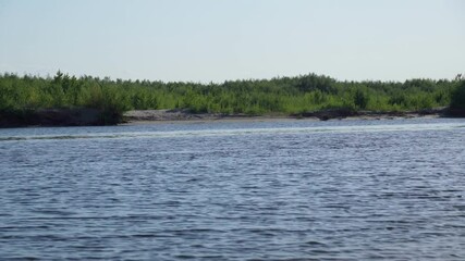 Wall Mural - Sky in morning over river in summer. Landscape. Space for copying text. Selective focus