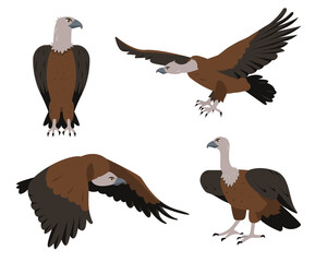 Vulture bird icons set. Flying and sitting Vultures birds in different poses isolated on white background. Nature, birdwatching and ornithology design. Vector cartoon or flat illustration.