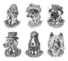Pug Dog Dog Smokes Cigar In Suit. English Bulldog Policeman. Herding And Bloodhound And German Shorthaired Pointer And Dachshund. Fashion Animal Character In Clothes. Engraved Hand Drawn Sketch.