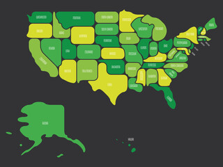 Wall Mural - Generalized smooth map of USA