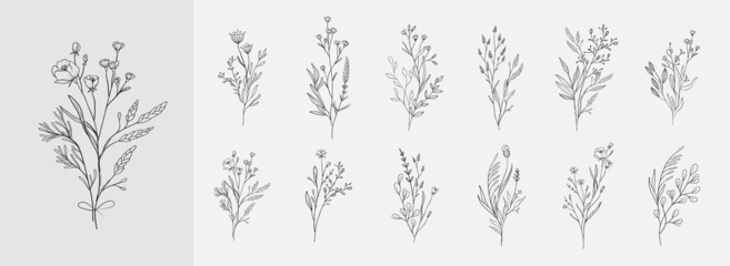 floral bouquet. hand drawn wedding branch herb, minimalist flowers with elegant leaves for invitatio