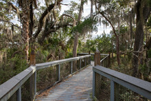 An Elevated Boardwalk Over The Salt Marsh At Fort Mose Historic State Park. 